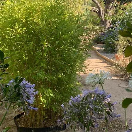 Un Joyau Cache Au Bord De La Saint-Cyr-sur-Mer